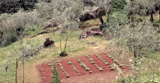 Oltre la siepe: gesti quotidiani e concime per l'orto