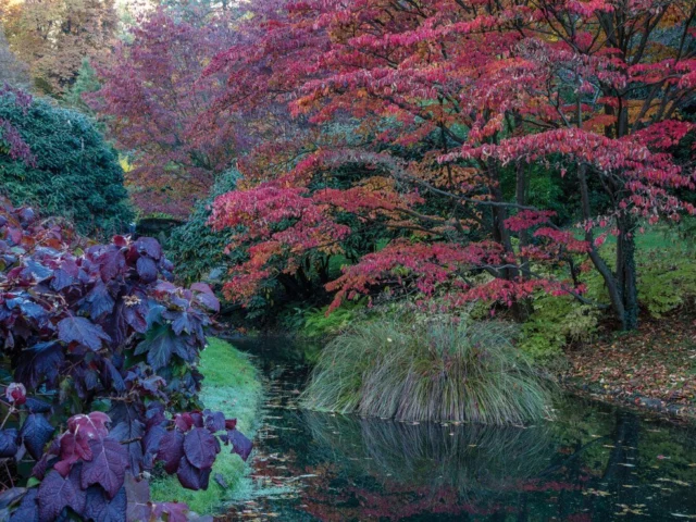 L'autunno a Villar Perosa, descritto da Russel Page