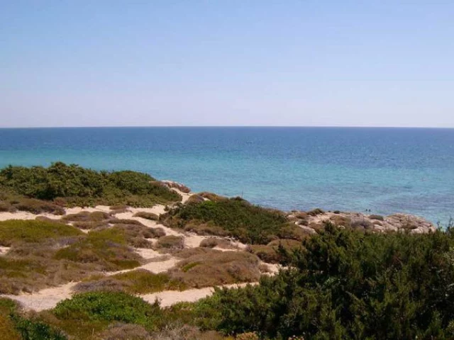 Le migliori spiagge del Molise