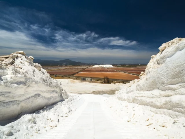 Tutto il bianco delle Saline Conti Vecchi