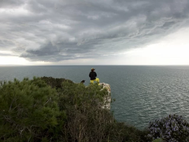 Isole d'Inverno di Federica Di Giovanni