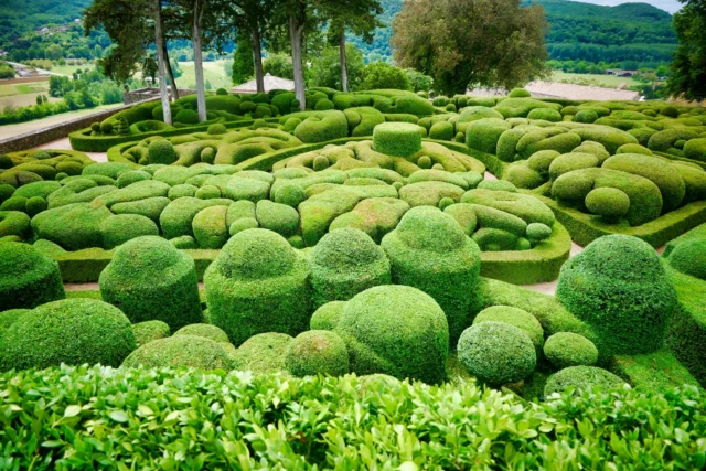 Giardini di bosso topiato a Marqueyssac