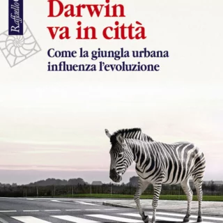 Darwin va in città