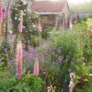 Cottage Garden