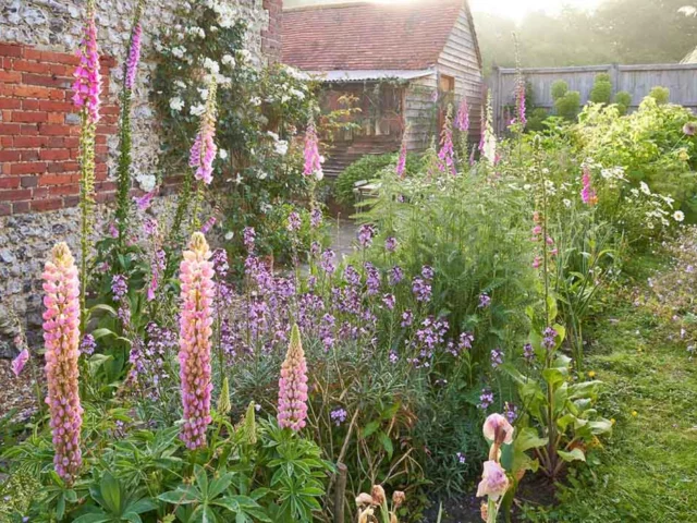 Cottage Garden