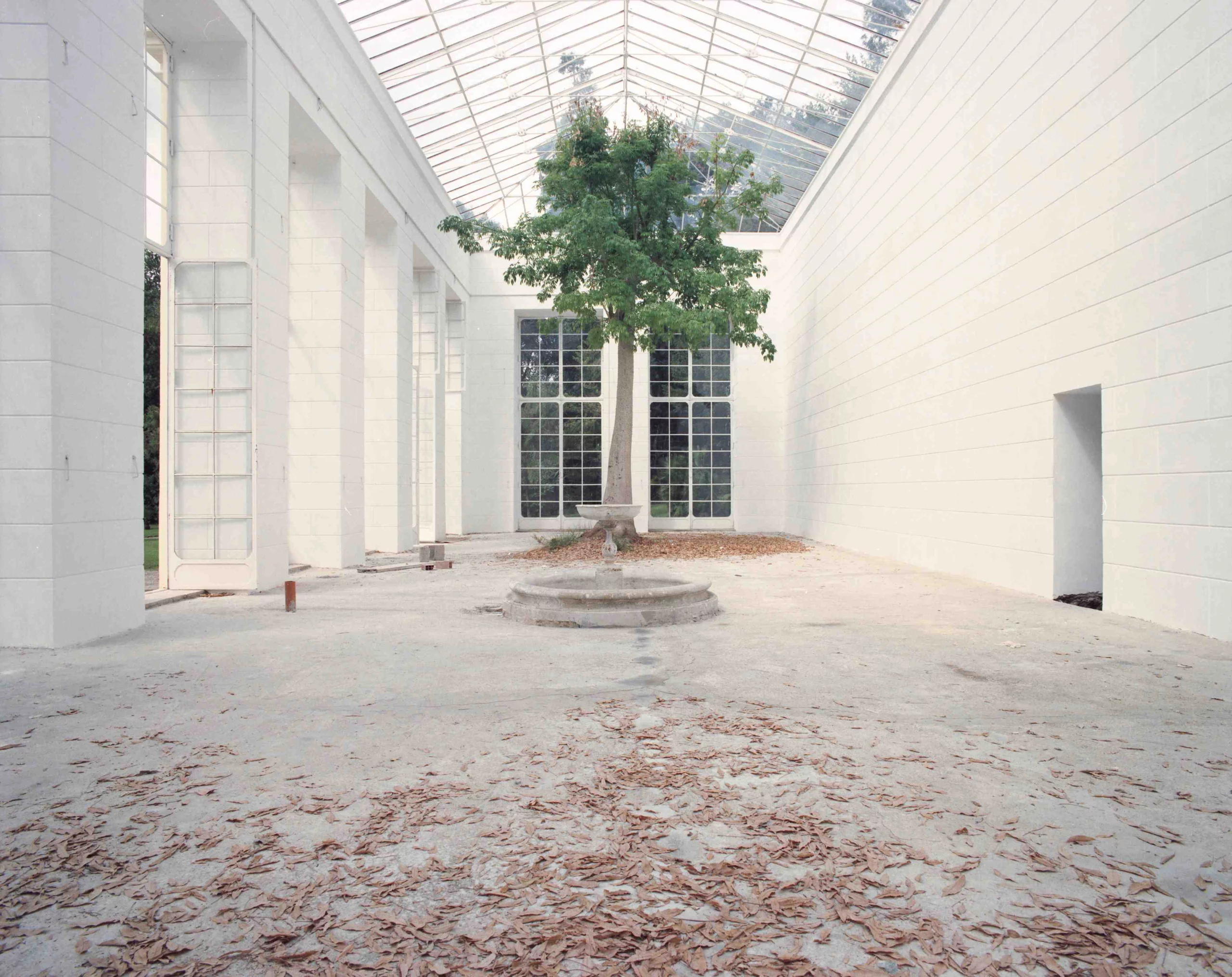 Giardini e natura: la fotografia di Luigi Ghirri e altri sguardi -  Villegiardini