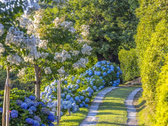 Giardino Lorella