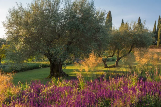 giardini Villa Trecci