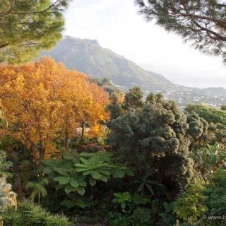 Amaca da giardino: l'arredo esterni per il relax - Villegiardini