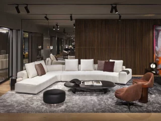 Minotti