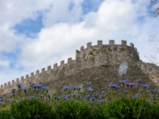 Rocca di Lonato del Garda