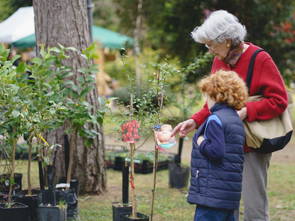 Di rara pianta, si terrà il 6 e 7 aprile 2024 al Giardino Parolini