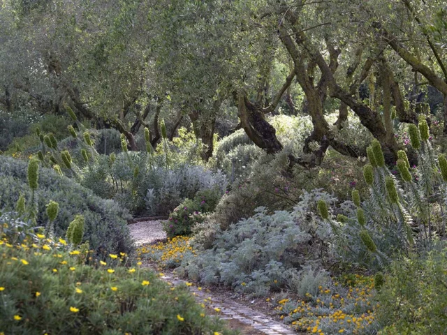 Giardini della Landriana