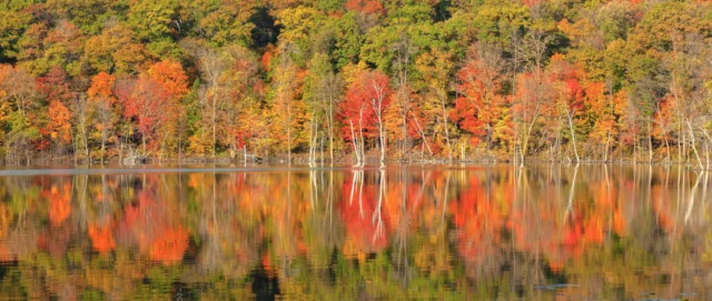 Una palette di colori che appaga la mente e dÃ  benessere