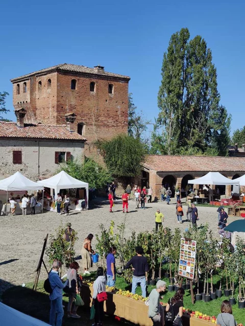 Castello di Paderna