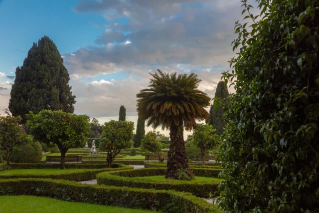 Scorcio del giardino 