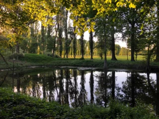 Labirinto della Masone