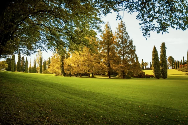 Parco SigurtÃ : oro e verde