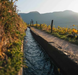 Fuga d’autunno nella Regione di Lana in Alto Adige