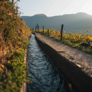 Fuga d’autunno nella Regione di Lana in Alto Adige