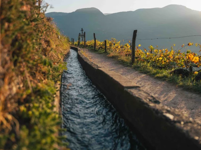 Fuga d’autunno nella Regione di Lana in Alto Adige