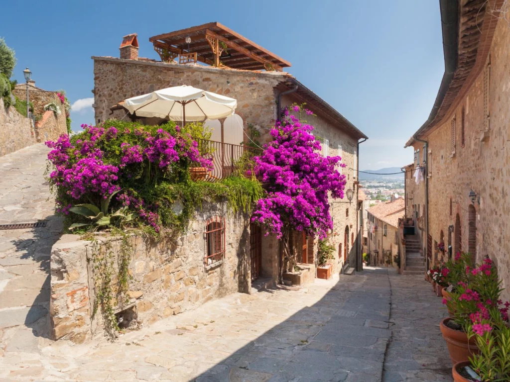 piante strade ancoraggio