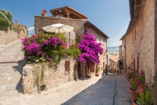 piante strade ancoraggio