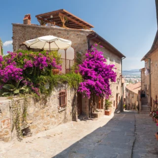 piante strade ancoraggio