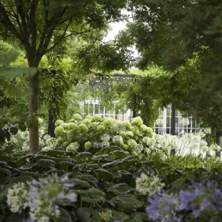 Giardini Reali di Venezia