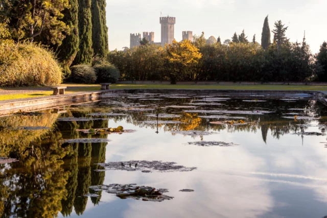 I giardini acquatici scivolano nel torpore. Ninfee, tartarughe e carpe torneranno a primavera