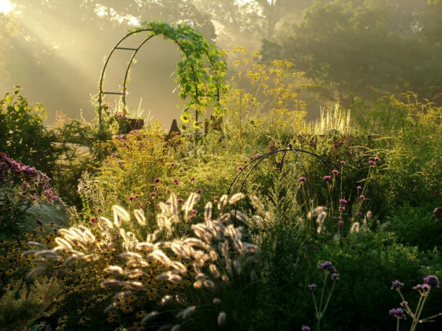 Autunno: il giardino si prepara al riposo