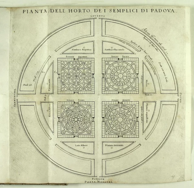 Girolamo Porro, Horto dei semplici di Padova