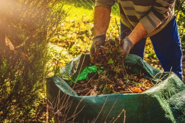 Gli scarti del giardino, una risorsa sotto molti punti di vista