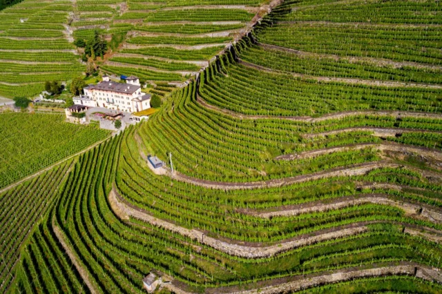 Terrazzamenti in Valtellina