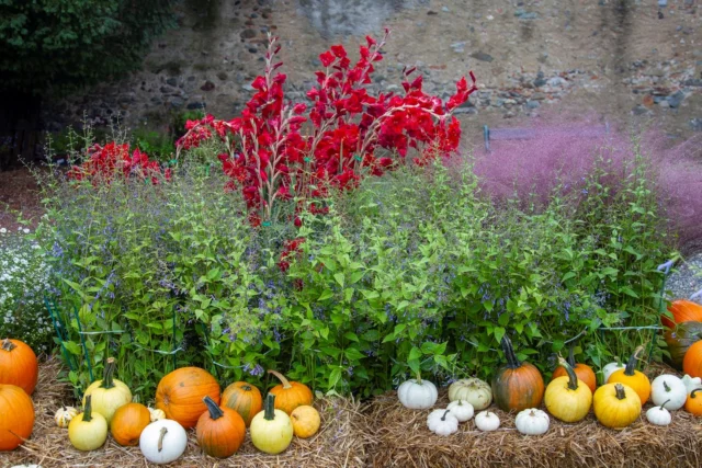 Tre Giorni per il Giardino 