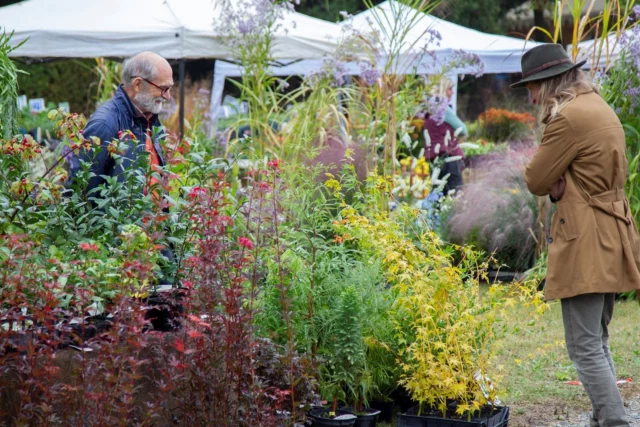 Tre Giorni per il Giardino 