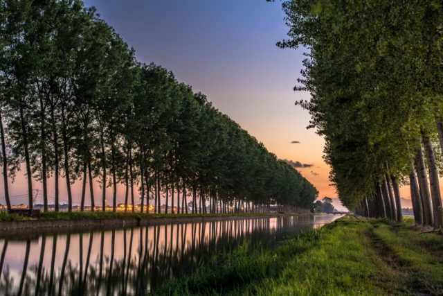 Filari di pioppi a bordare un canale