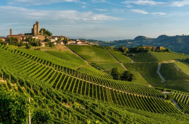 Le Langhe: un altro vasto territorio in cui le attivitÃ  antropiche hanno avuto un ruolo di rilievo nel disegno del paesaggio