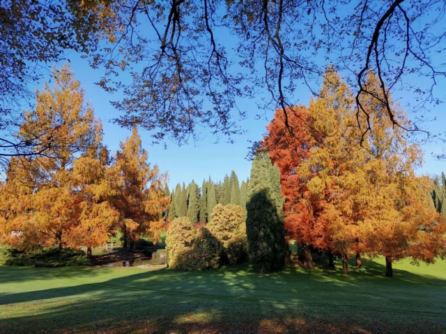 Parco SigurtÃ  in autunno: visioni che abbracciano e confortano