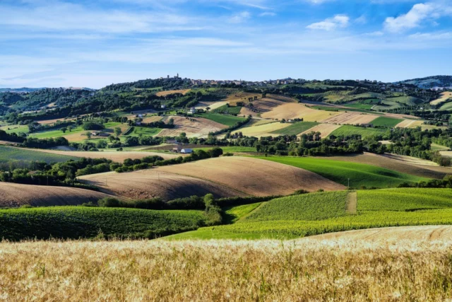 Anche nelle Marche le attivitÃ  antropiche hanno dipinto il paesaggio