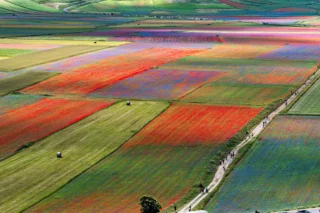 Attività antropiche e paesaggio italiano: Castelluccio di Norcia, fioritura delle lenticchie