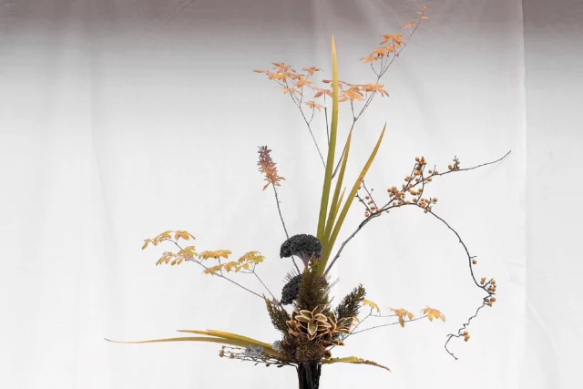 Eleganza, raffinatezza, essenzialitÃ : Ã¨ l'ikebana