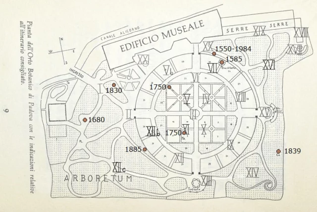 Un'altra antica carta dell'Orto Botanico di Padova