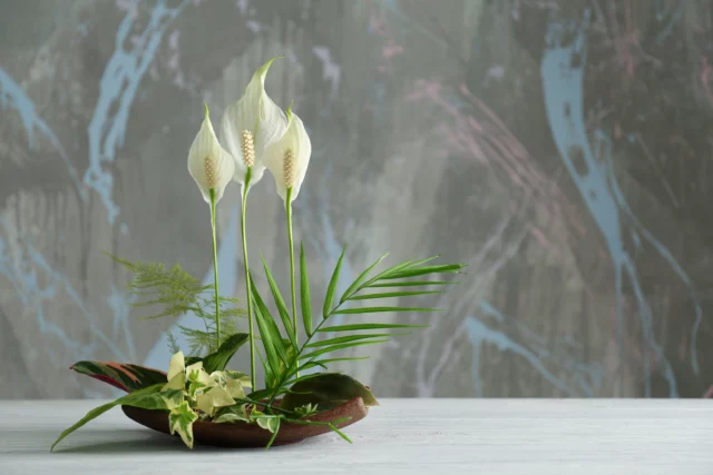 Ikebana, un'arte antica