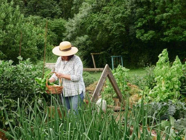 Giardiniere essere o fare