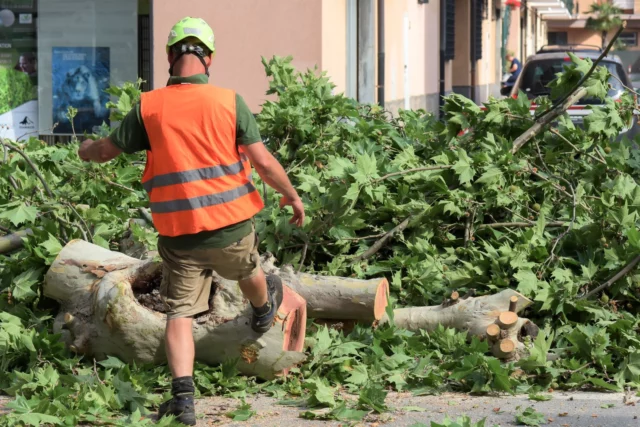 Non si cura e conserva piÃ¹