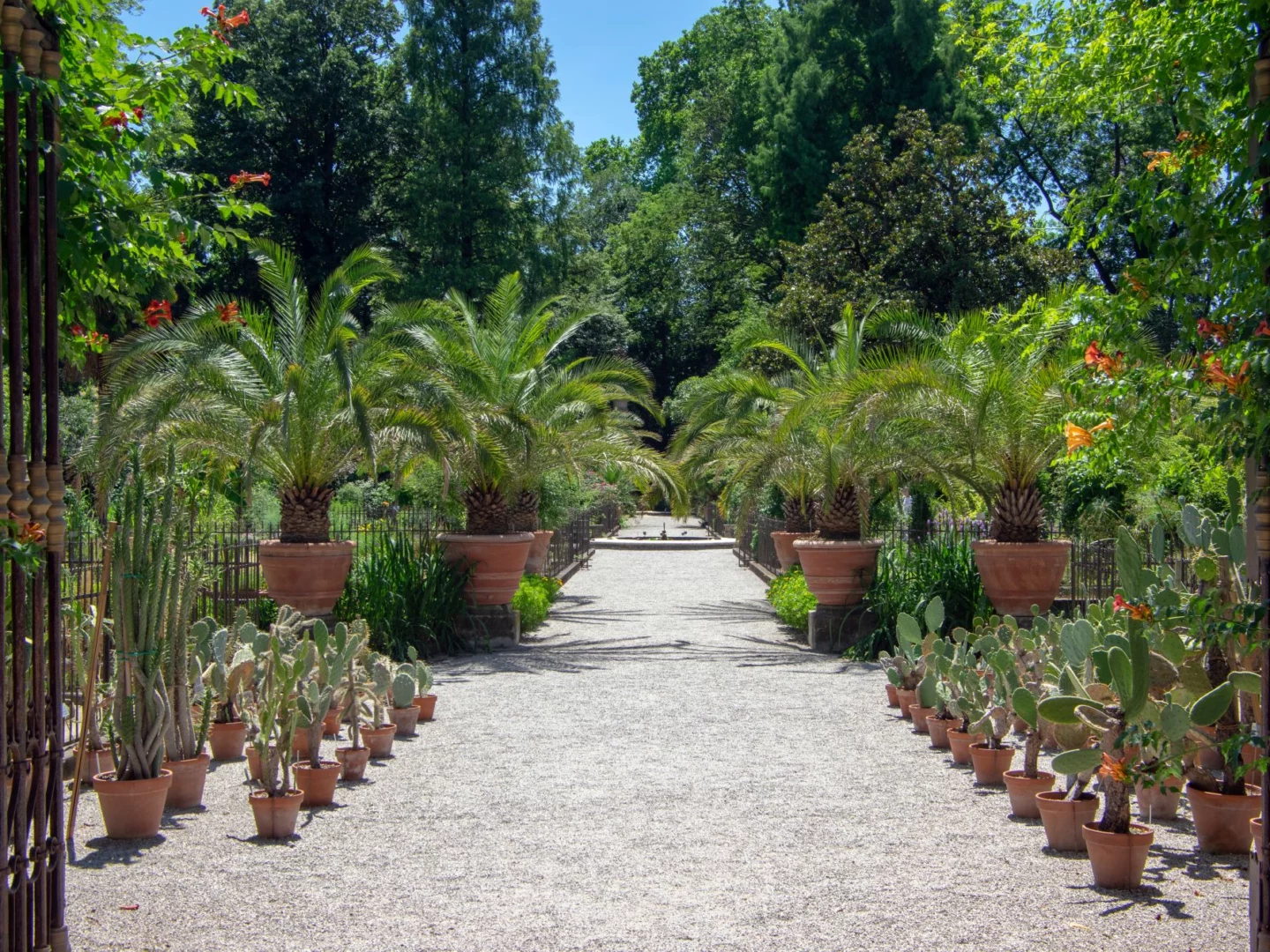 Orto Botanico di Padova