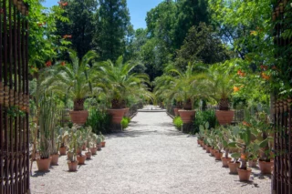 Orto Botanico di Padova