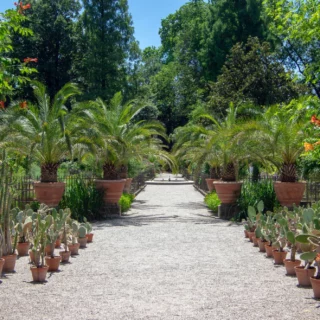 Orto Botanico di Padova