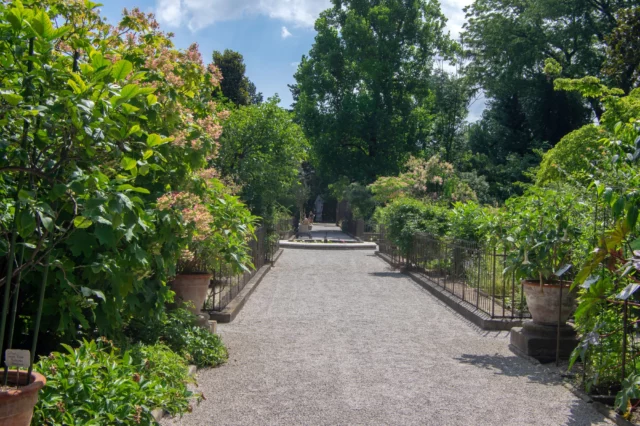 Orto Botanico di Padova 